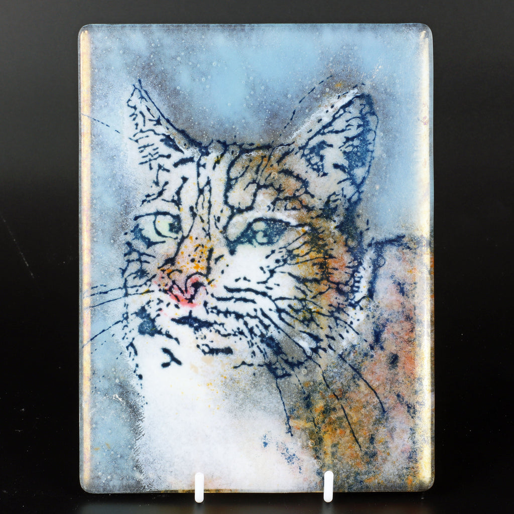 Project: Pet Portraits - Warm Glass