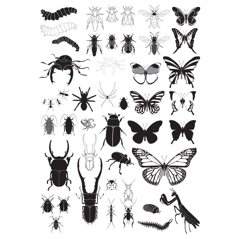 Bugs & Butterflies Decal 10 x 14.5cm (Lead Free) - Warm Glass