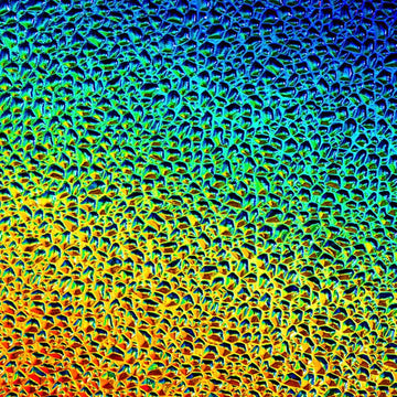 CBS Dichroic Texture: Dew Drop Rainbow 2 on Black - Warm Glass