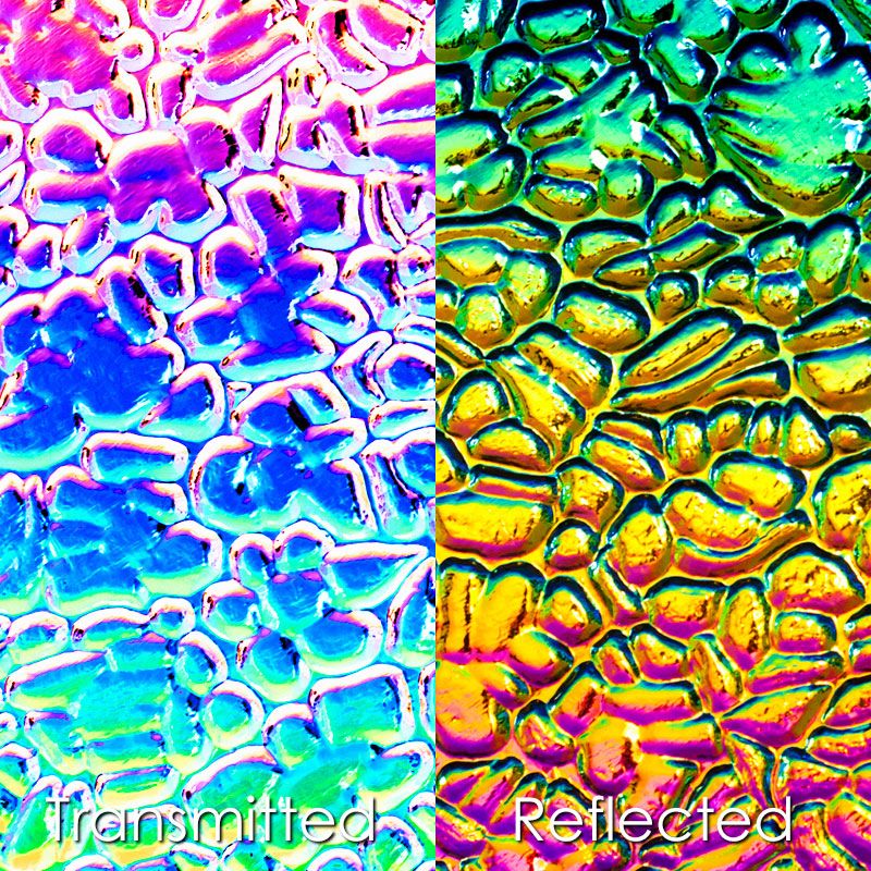 CBS Dichroic Texture: Figure Rainbow 2 on clear - Warm Glass