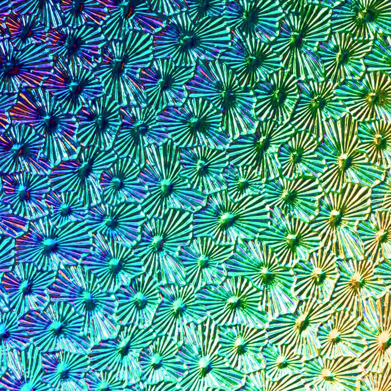 CBS Dichroic Texture: Florentine Rainbow 2 on Black - Warm Glass