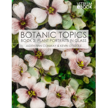 eBook - Botanic Topics: Plant Portraits in Glass Book 2 - Warm Glass