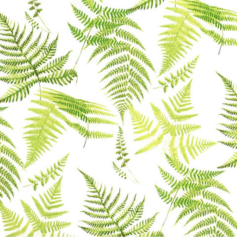 Fern Decal 22cm x 22cm - Warm Glass