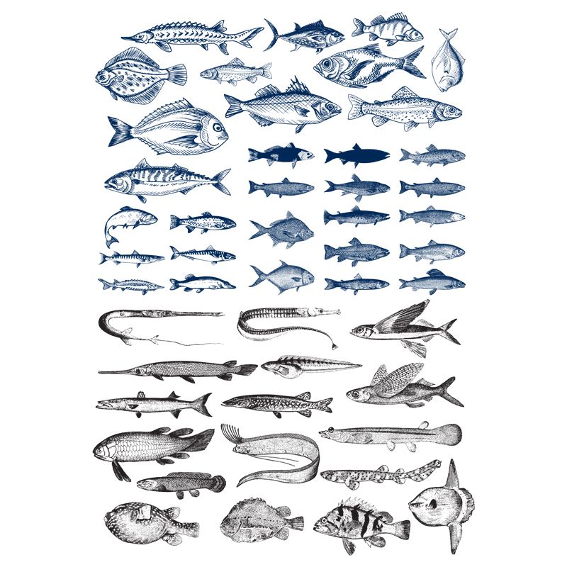 Fish Decal 10 x 14.5cm (Lead Free) - Warm Glass