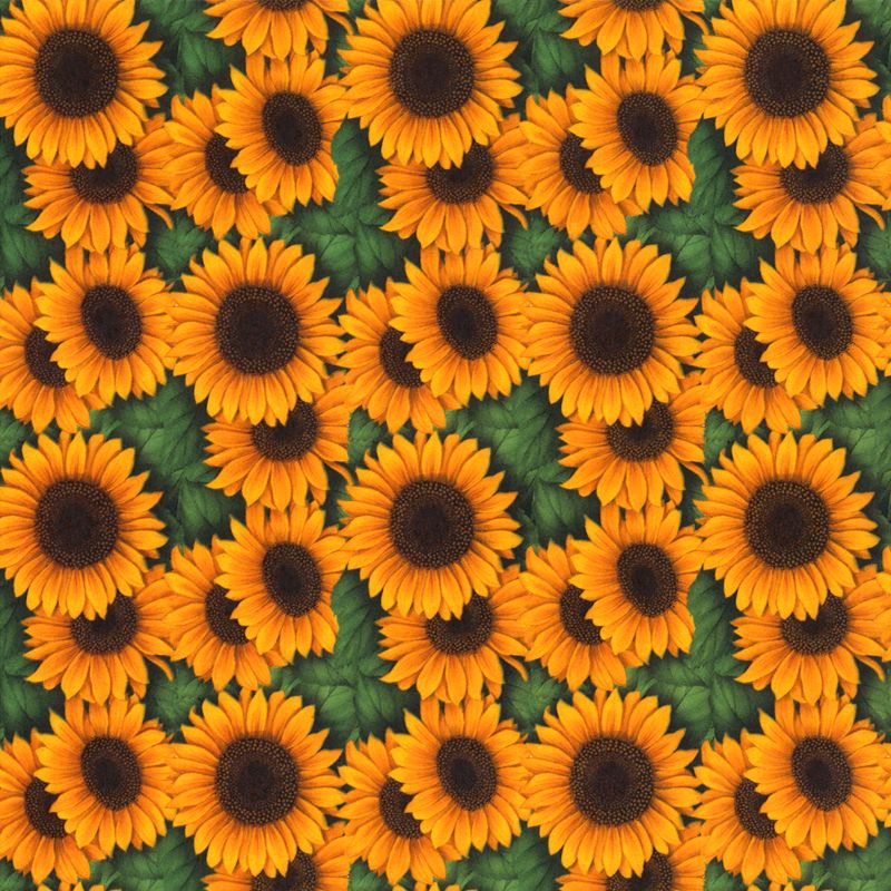 Sunflower Decal 22 x 22cm - Warm Glass