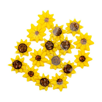 Tabitha's Glass Emporium: XL Murrine - Sunflower Shapes - Warm Glass